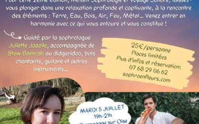 Atelier Sophro-Sono N°2