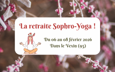 La retraite Sophro-Yoga du 06 au 08 février 2026
